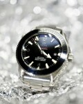 Omega Seamaster Profesional