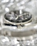 Omega Seamaster Profesional