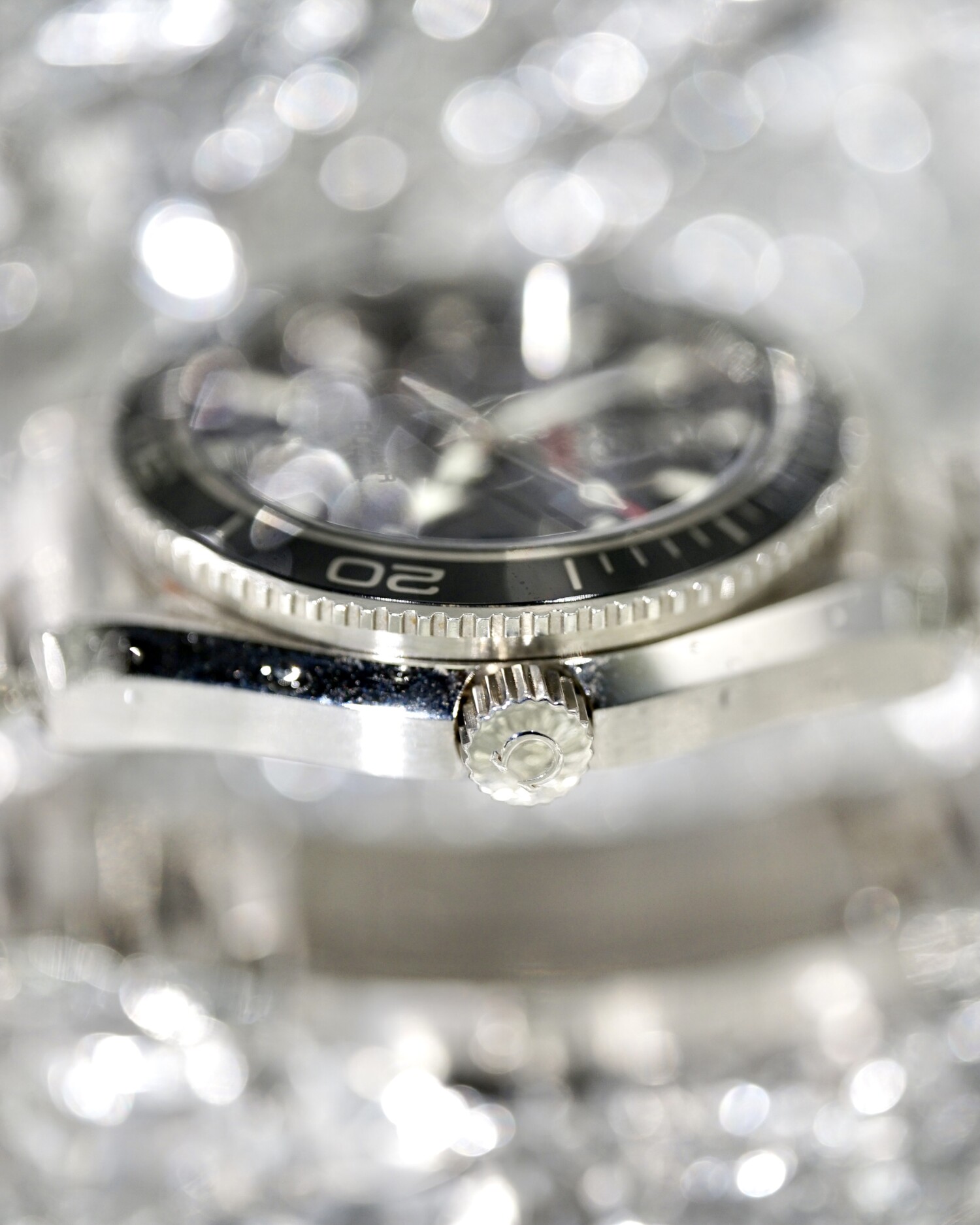 Omega Seamaster Profesional