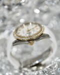 Datejust 36mm Mat Trang