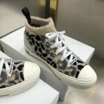 B23 High Dioralps Ss2022