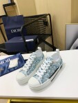 B23 Low Top Zic Blue