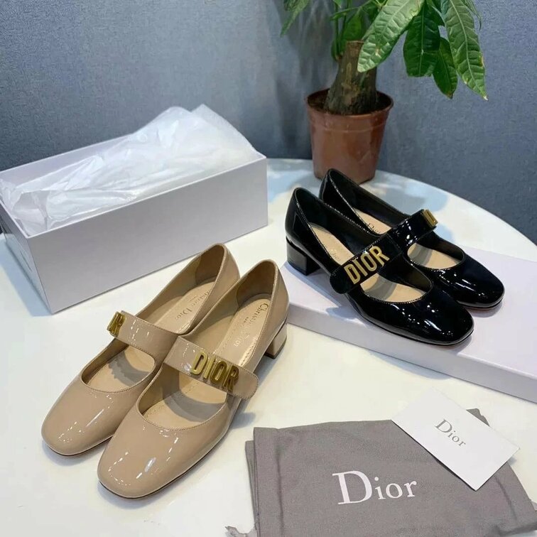 Loafer Skin Leather Dior Ballet