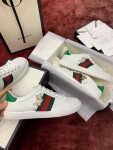 Gucci Ace Fashion Show Ss2022