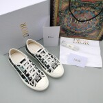 Dior Walkndior Sneakers