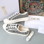Dior Walkndior Sneakers
