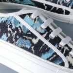 Dior Walkndior Sneakers
