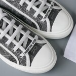 Dior Walkndior Sneakers