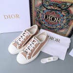 Dior Walkndior Sneakers