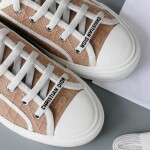 Dior Walkndior Sneakers