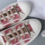 Dior Walkndior Sneakers