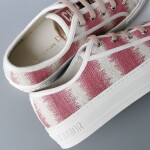 Dior Walkndior Sneakers