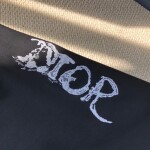 Sweaters Dior Peter Doig Ss2022
