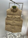 Guccixthe North Face Puffer Ss2022