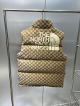 Guccixthe North Face Puffer Ss2022