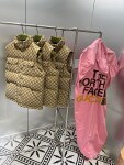 Guccixthe North Face Puffer Ss2022