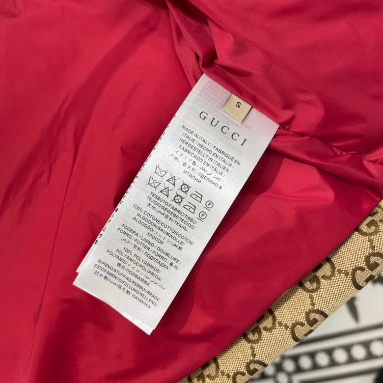Guccixthe North Face Puffer Ss2022