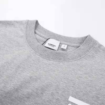 Tee Bbr Big Logo Gray Ss2022