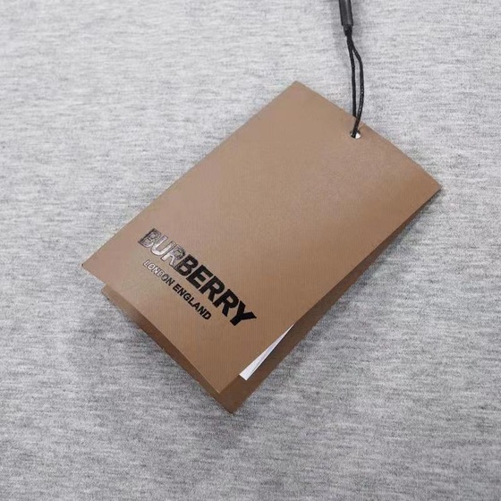 Tee Bbr Big Logo Gray Ss2022