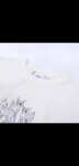 Tee Bbr Unicorn White Ss2022