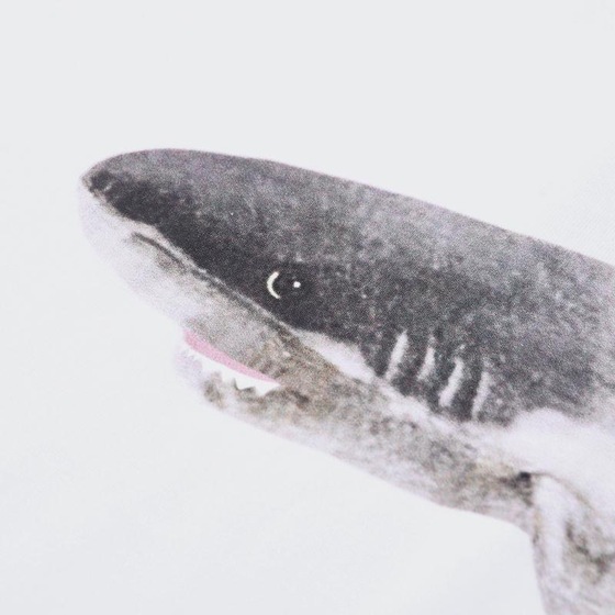 Tee Palm Angle Shark White Ss2022