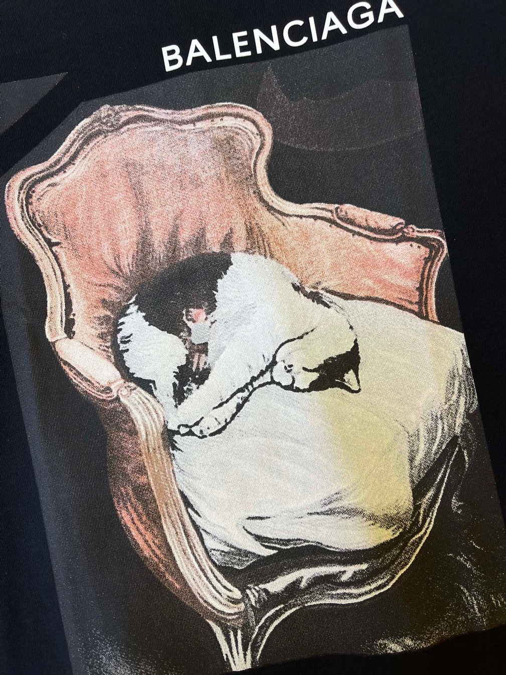 Tee Balenciaga Cat Black Ss2022