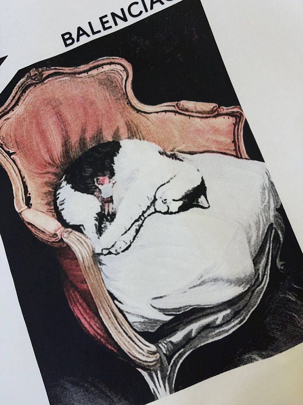 Tee Balenciaga Cat White Ss2022