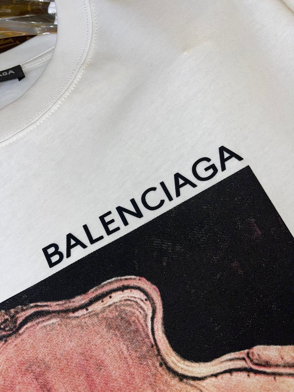 Tee Balenciaga Cat White Ss2022