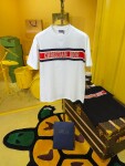 Tee Dior Alps Logo White Ss2022