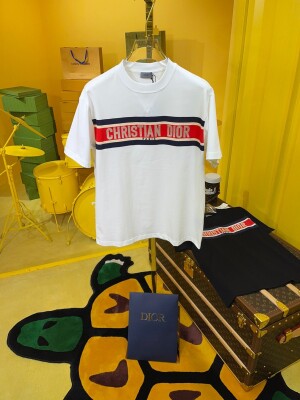 Tee Dior Alps Logo White Ss2022