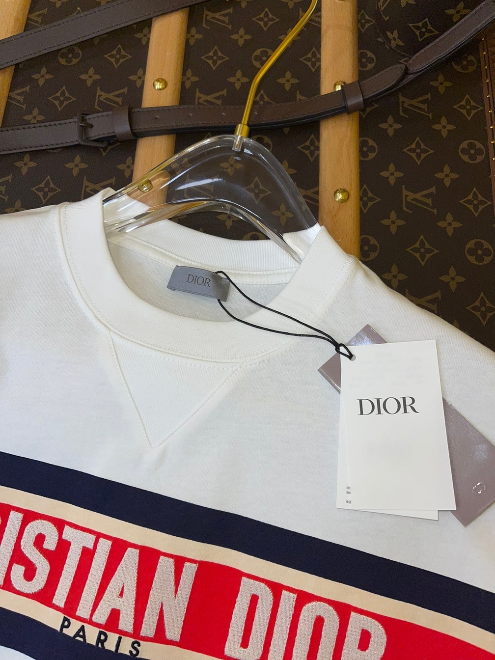 Tee Dior Alps Logo White Ss2022