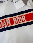 Tee Dior Alps Logo White Ss2022