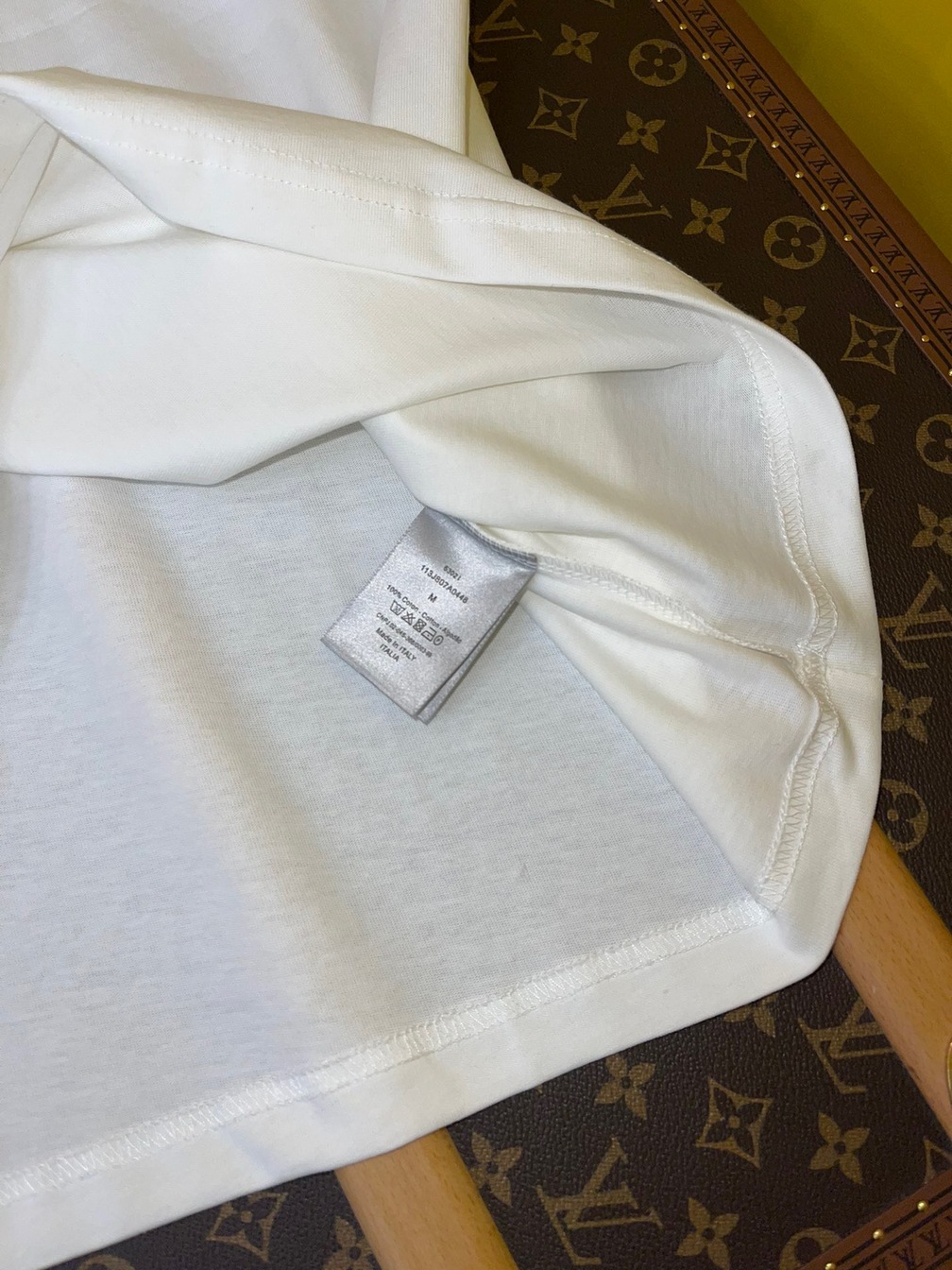 Tee Dior Alps Logo White Ss2022