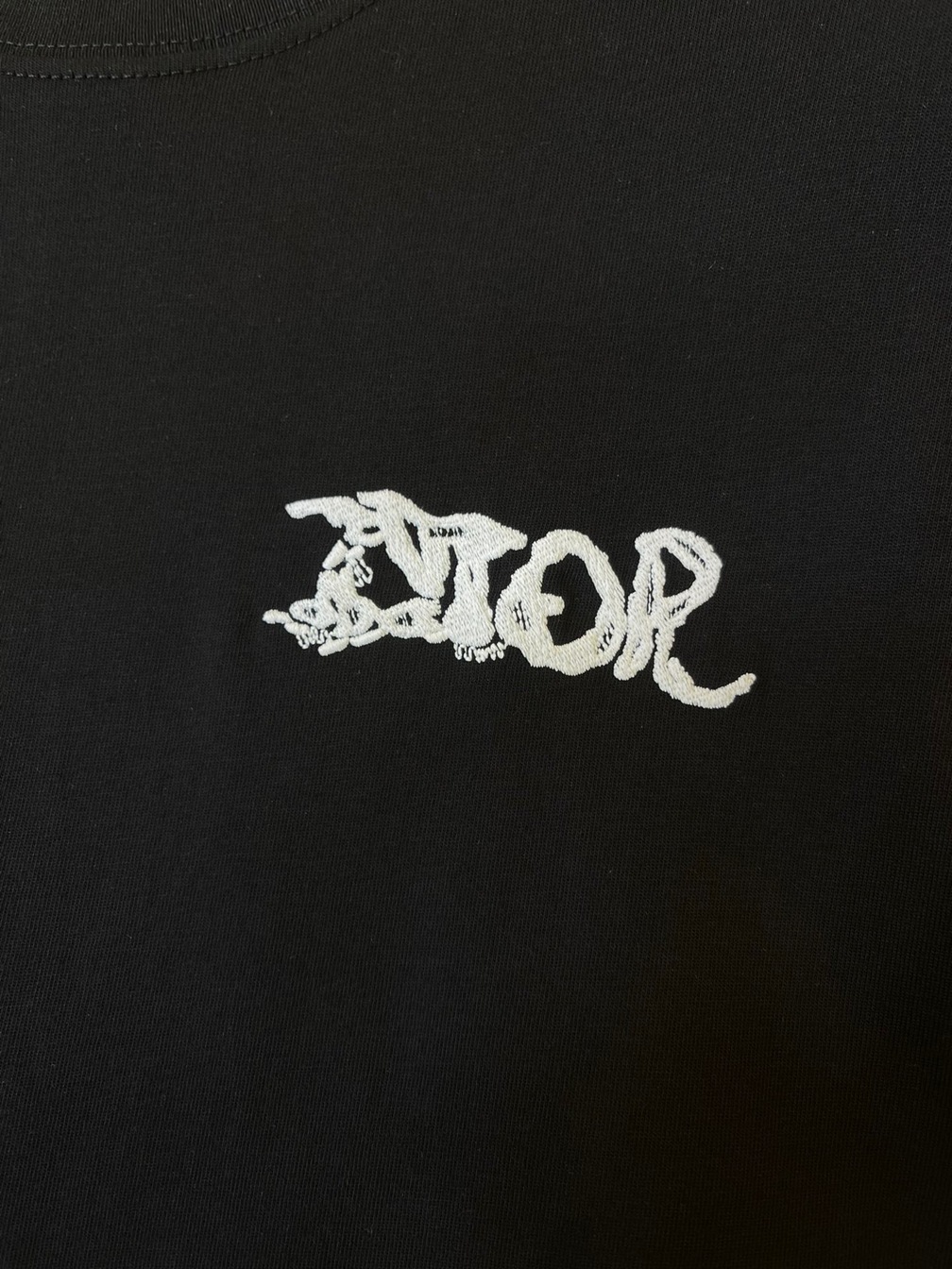 Tee Dior Peter Doig Black Ss2022