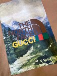 Tee Gucci X Tnf View Dark Beige Ss2022