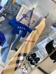 Sweaters Len Bbr Hoa Tiet Gaint Check Ss2022