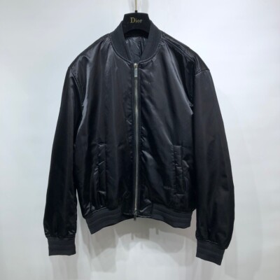 Bomber Dior Peter Doig Gio