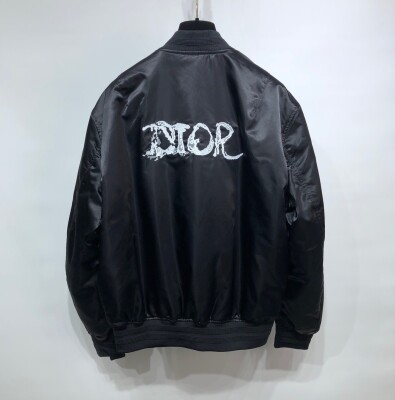 Bomber Dior Peter Doig Gio