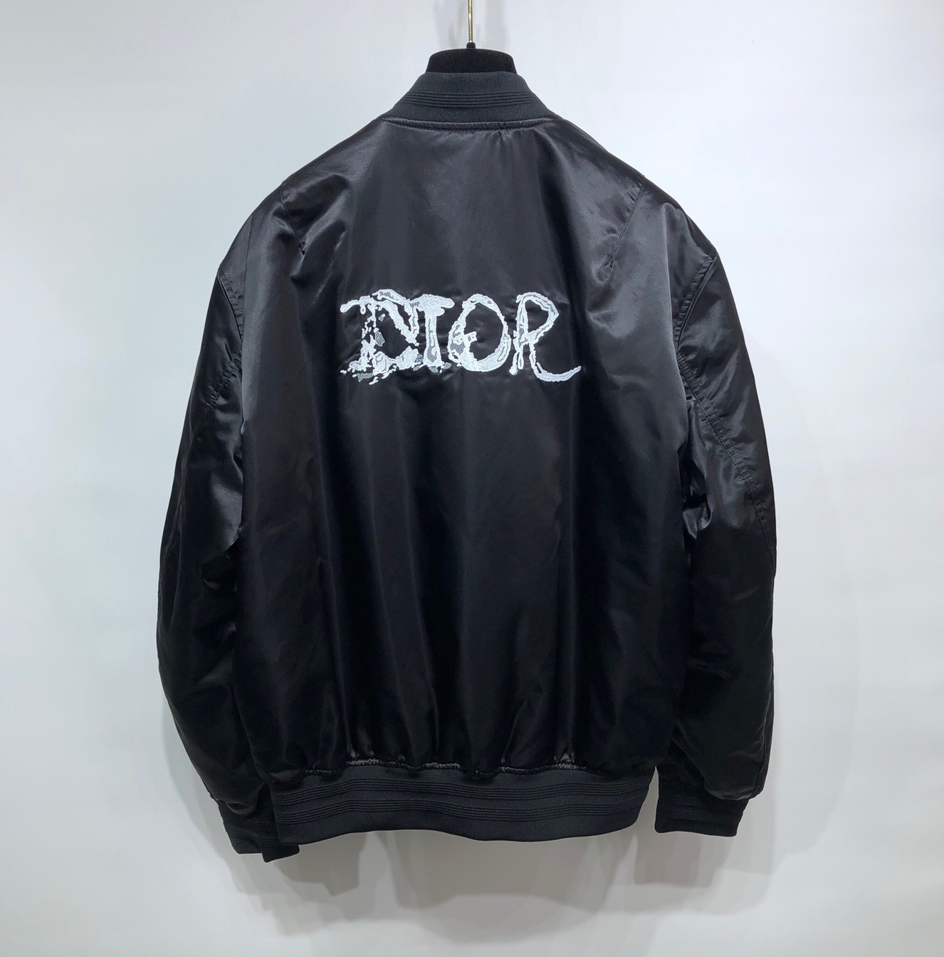 Bomber Dior Peter Doig Gio