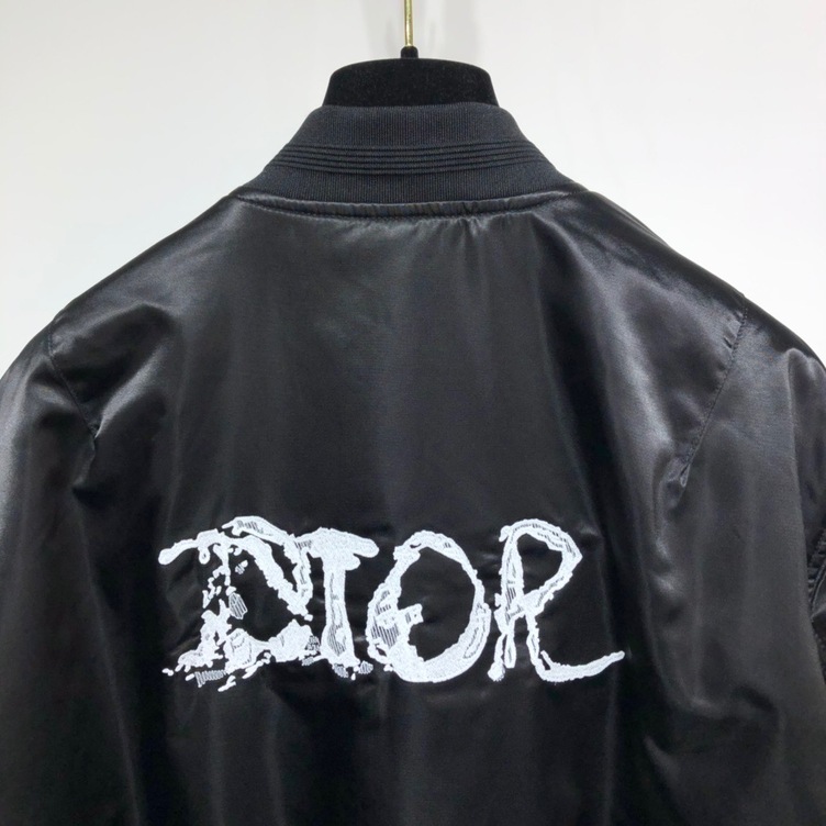 Bomber Dior Peter Doig Gio