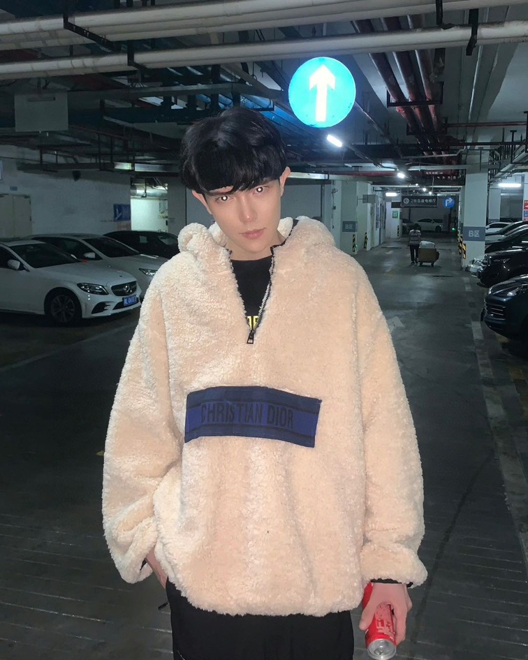 Hoodie Dior Ss2022 Ni Bong