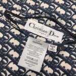 Phao Dior Oblique Ss2022