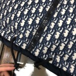 Phao Dior Oblique Ss2022