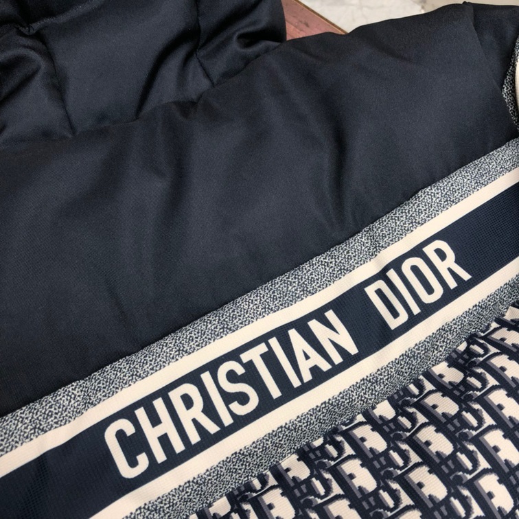 Phao Dior Oblique Ss2022