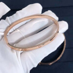 Cartier Love Bracelet Sm Small Model