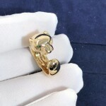 Solid Panthere De Cartier 18k Yellow Gold Tsavorite Garnets And Onyx Ring