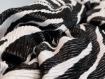 Bottega The Pouch Zebra Sliver Chain 26 Ss2022