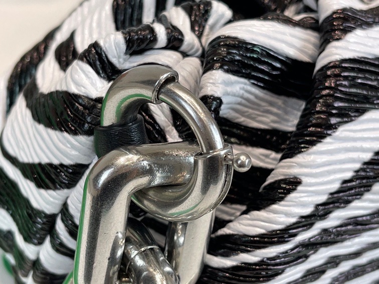 Bottega The Pouch Zebra Sliver Chain 26 Ss2022