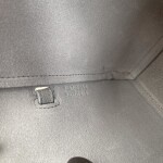 Celine Belt Pico Gray 15 Bag