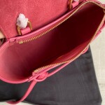 Celine Belt Pico Lightly Pink 15 Bag